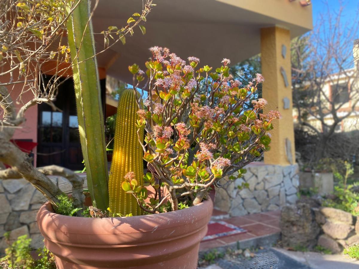 Lovely Home 5 Min Walk To The Beach, 3 Bedrooms Ample Outdoor Relax And Wifi カピターナ エクステリア 写真