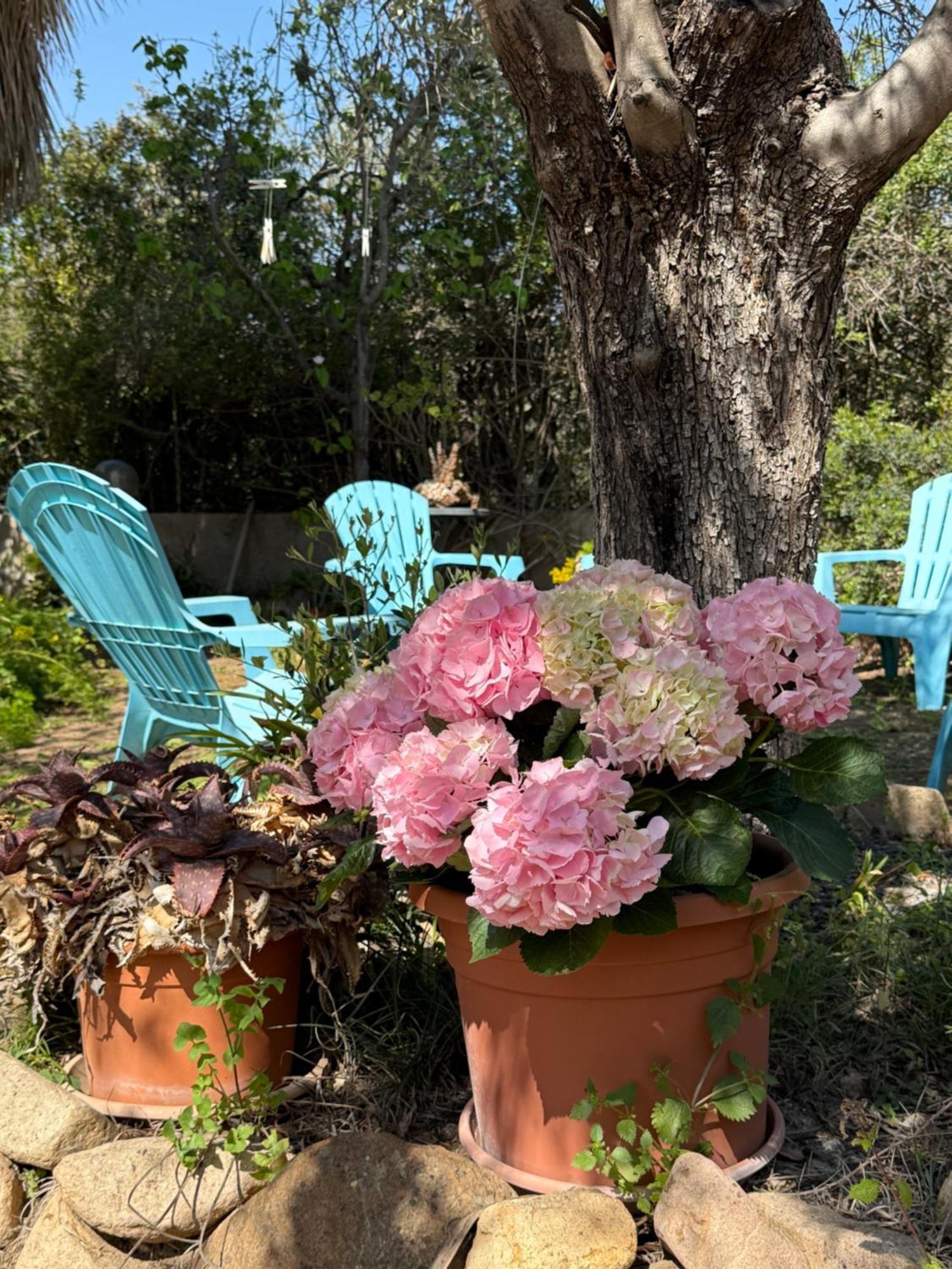Lovely Home 5 Min Walk To The Beach, 3 Bedrooms Ample Outdoor Relax And Wifi カピターナ エクステリア 写真